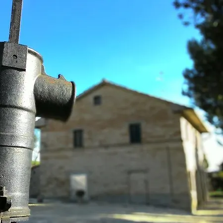 Il Bardo -