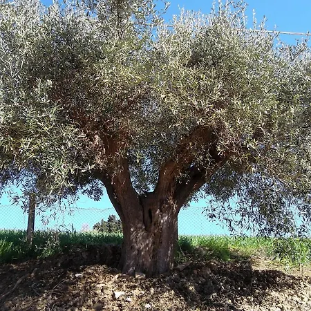 Casa di campagna Il Bardo -